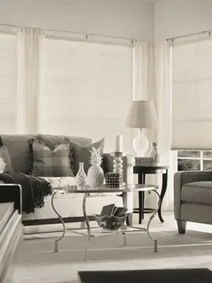 Honeycomb Shades