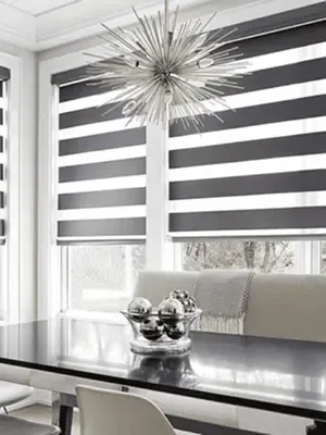 Horizontal Sheer Shades