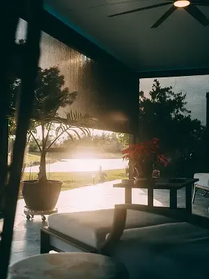 Motorized Screens
